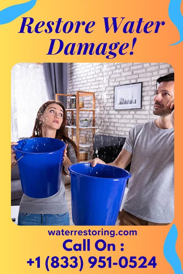 water restoration Best Sewage Cleanup Masters Pickens