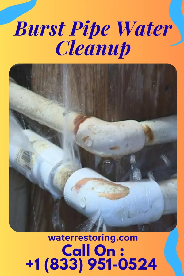 Burst Pipe Water Cleanup in Pickens, SC