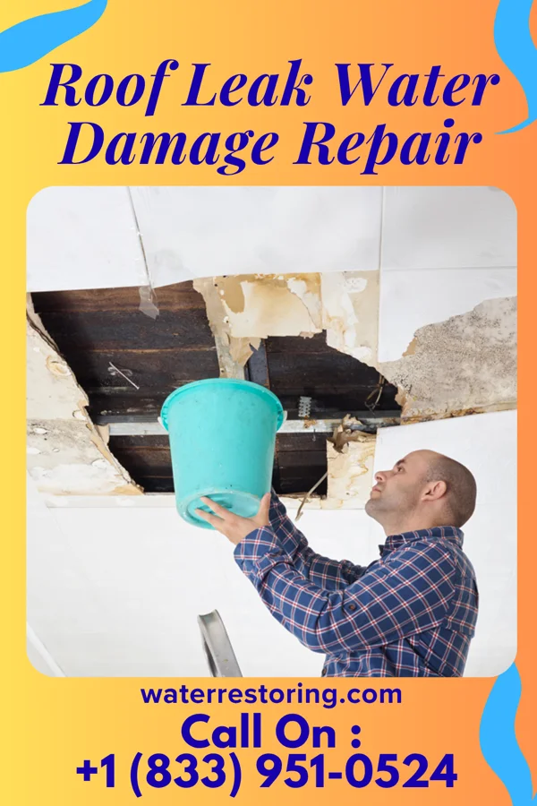 Roof Leak Water Damage Repair in Pickens, SC