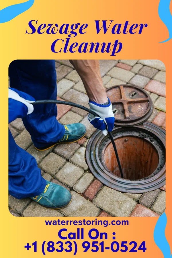 Sewage Water Cleanup in Pickens, SC
